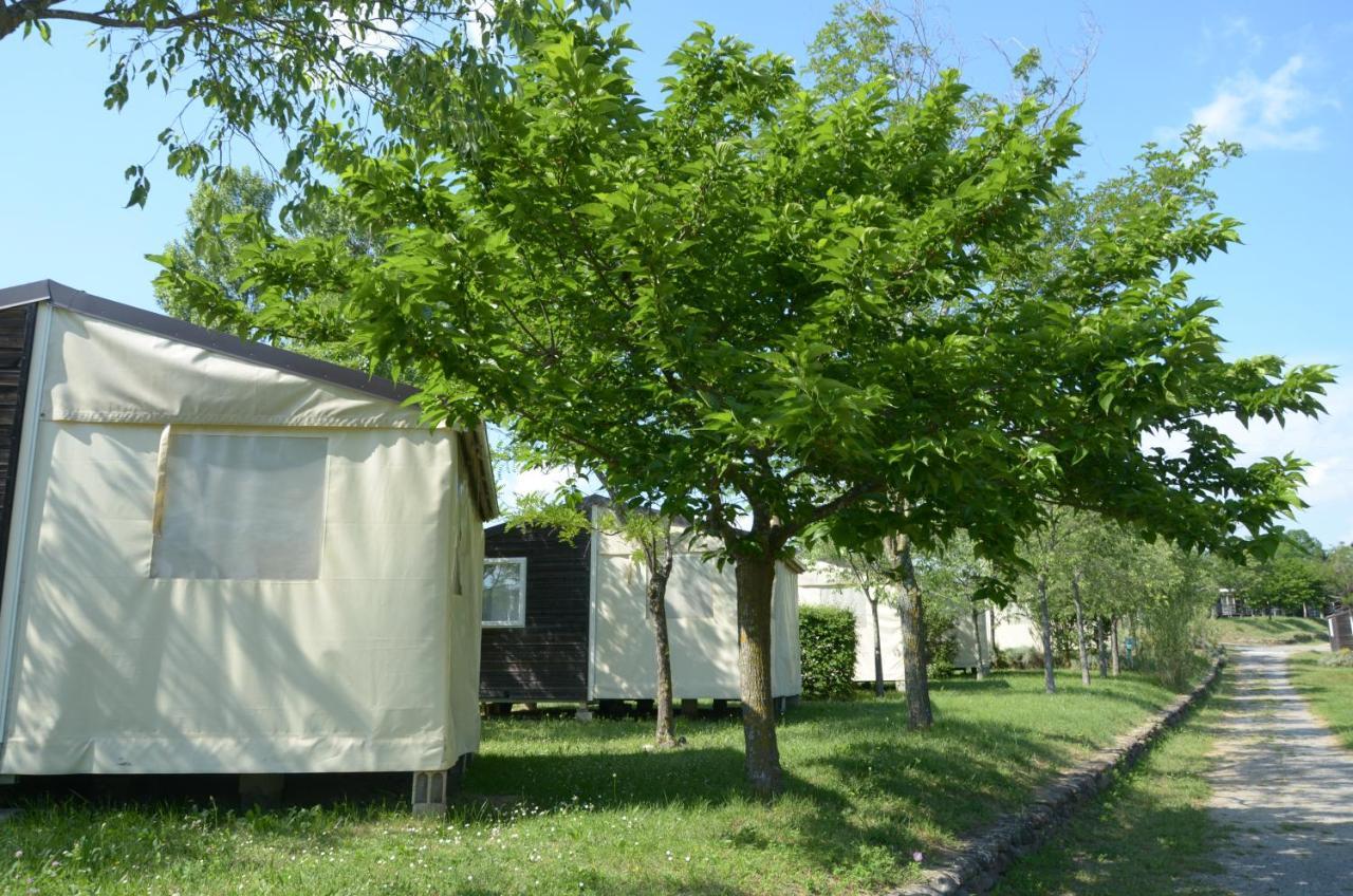 Ludocamping